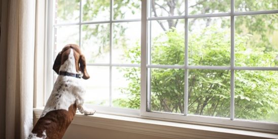 20210920-KCM-Share-549×300-1