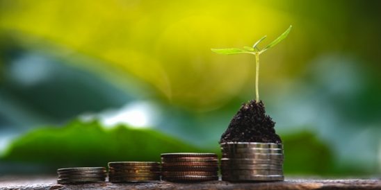 20210930-KCM-Share-549×300-1