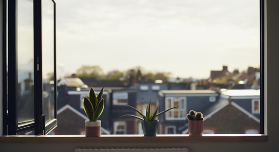 20220201-KCM-Share-549×300-1