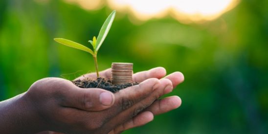 20221010-KCM-Share-549×300-1