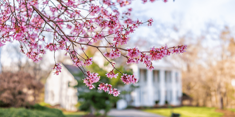 20250414-4-Ways-To-Make-an-Offer-That-Stands-Out-This-Spring-original